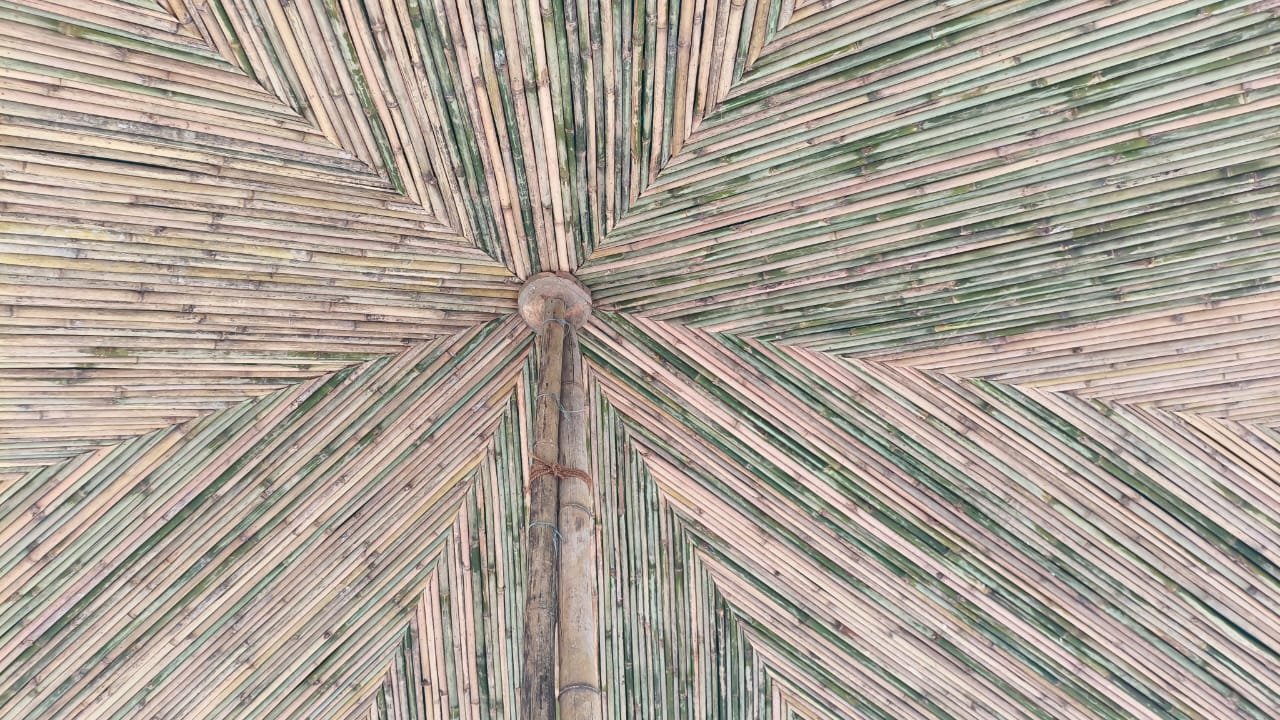 Trusted by Professionals